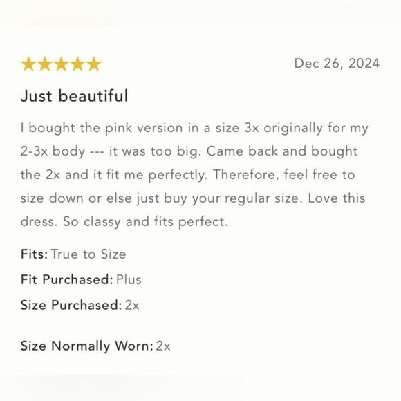 NWT Size L- Anthropologie The Somerset Maxi Dress: Halter Edition (NWT US$198) - Picture 11 of 14